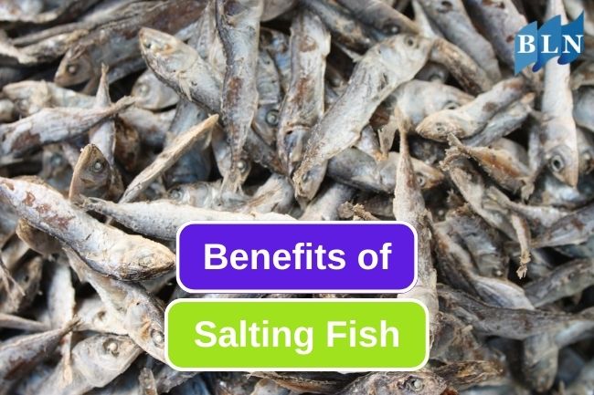 5 Benefits Of Salting Methods On Fish Preservation